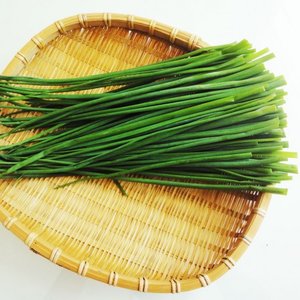 Podlewanie szczypiorku