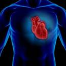 Jak się odżywiać, aby obniżyć poziom cholesterolu?