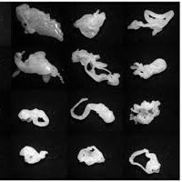 Odczytywanie symboliki