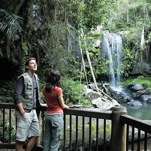 Park Narodowy Lamington