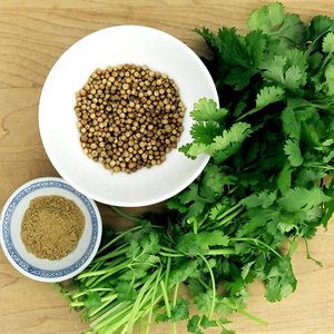 Pomoc dla żołądka