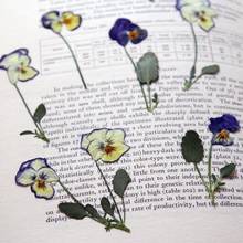 W jaki sposób suszyć kwiaty?