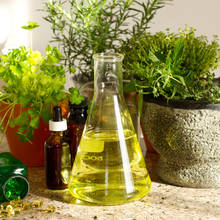 Jakie zioła pomagają w czasie miesiączki?