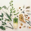 Które zioła i przyprawy szkodzą w ciąży?