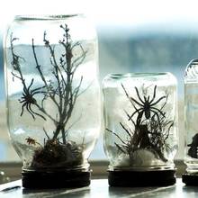 Jak zrobić terraria ze słoików na Halloween?