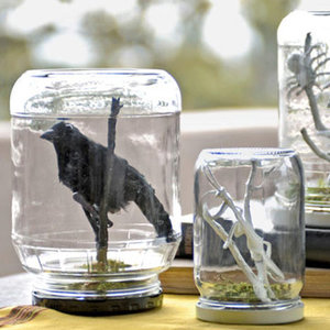 Zamykanie terrariów