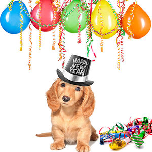 Zrób mu wieczorny spacer