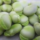 Jakie są właściwości bobu?