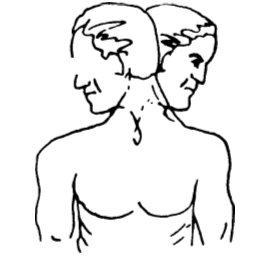 Ćwiczenie 4 – szyja