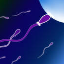 Sposoby na poprawienie jakości męskiego nasienia