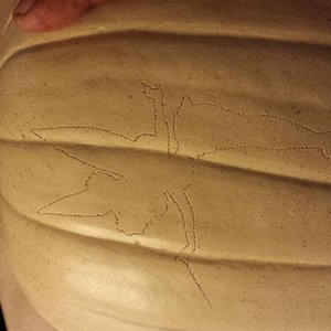 Rzut oka na zarys na dyni