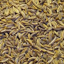 Jak można stosować kminek?