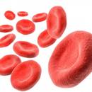 W jaki sposób zwiększyć przyswajalność żelaza?