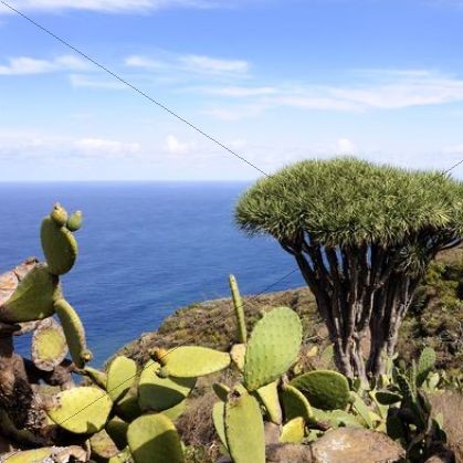 La Palma