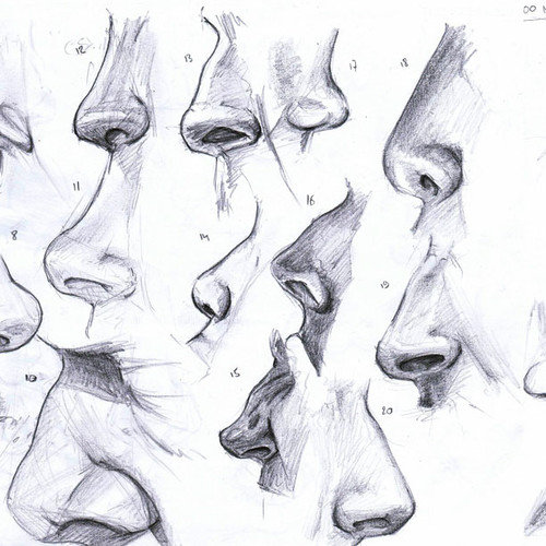 Co mówi o nas kształt nosa?