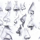 Co mówi o nas kształt nosa?