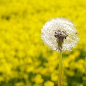 Zadbaj o klimatyzację