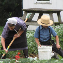Jak ułatwić sobie pracę w ogrodzie?