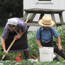 Jak ułatwić sobie pracę w ogrodzie?