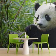 Jak położyć fototapetę samoprzylepną?