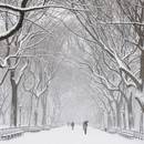 Jak samodzielnie zrobić śnieg?