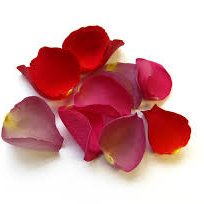 Różany tonik dla wszystkich