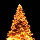 Jakie lampki choinkowe wybrać?