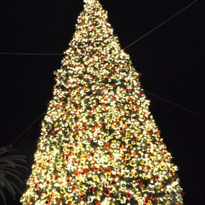 Certyfikat bezpieczeństwa