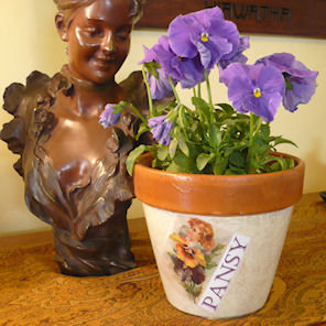 Doniczka z pojedynczym wzorem