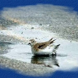 Radości trzeba się nauczyć