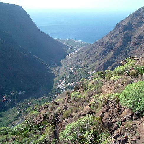 Park Narodowy Garayonay na wyspie La Gomera