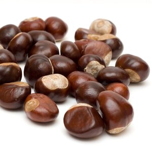 Nasiona kasztanowca zwyczajnego