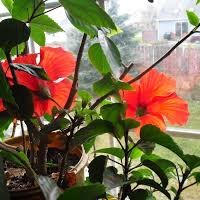 Miejsce przechowywania