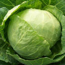 Jak wykonywać okłady z kapusty?