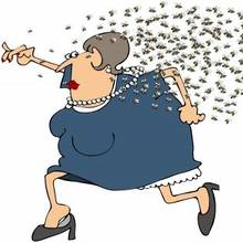 Jak unikać komarów?