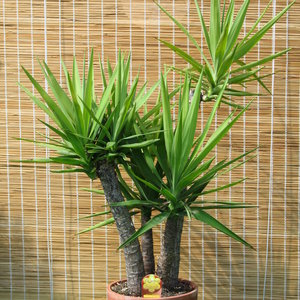 Miejsce przechowywania 