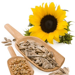 Co możesz jeść i pić?