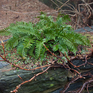 Miejsce przechowywania