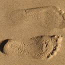 Jak skorygować płaskostopie?