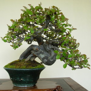 Miejsce przechowywania