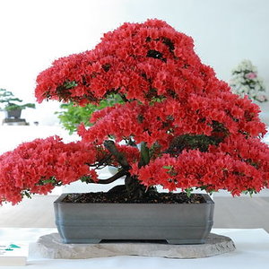 Miejsce przechowywania