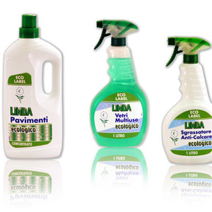 Ekologia i porządki