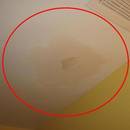 Jak pozbyć się zacieków ze ściany lub sufitu?