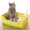 Jak zachować kuwetę kota w czystości?