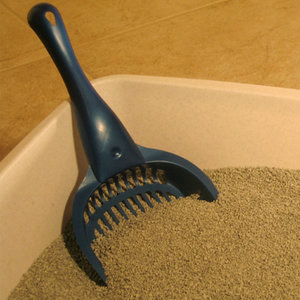 Kocia kuweta na co dzień