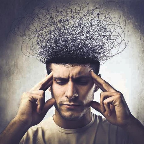 Inteligencja
