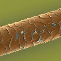 Szczotkowanie i suszenie