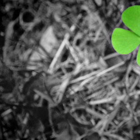 Trudna sztuka – nie szukać szczęścia