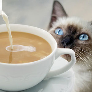 Czekolada, kawa i herbata