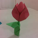 Jak wykonać tulipana origami?
